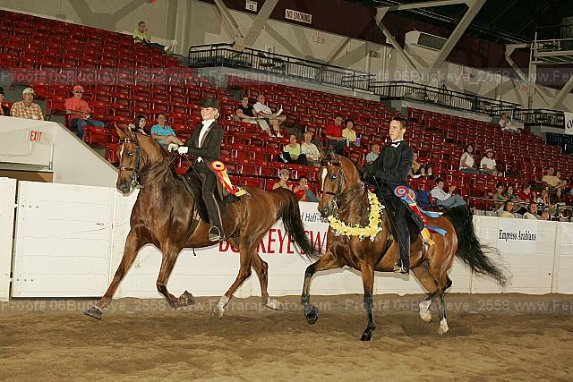 Proof 06buckeye_2558