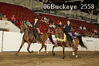 06buckeye_2558 proof