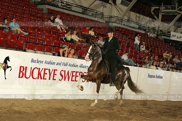 Proof 06buckeye_2560