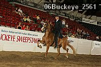 06buckeye_2561 proof