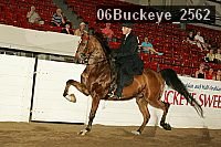 06buckeye_2562 proof