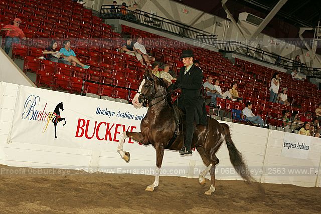 Proof 06buckeye_2563