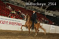 06buckeye_2564 proof