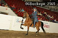 06buckeye_2565 proof
