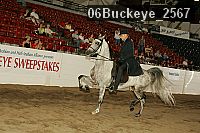 06buckeye_2567 proof