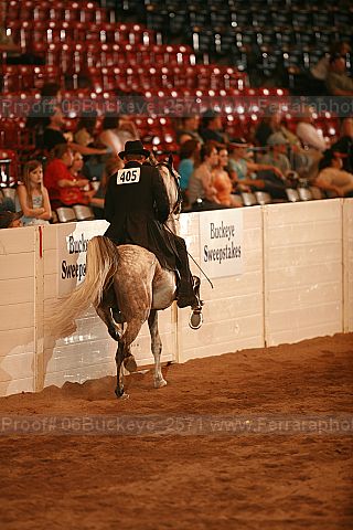 Proof 06buckeye_2571