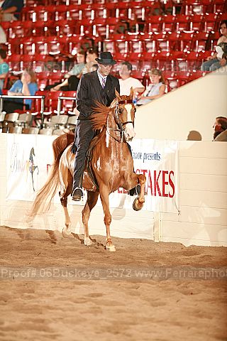 Proof 06buckeye_2572