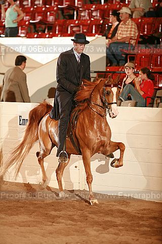 Proof 06buckeye_2573