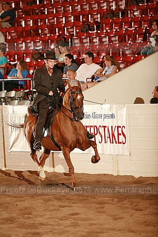 Proof 06buckeye_2575