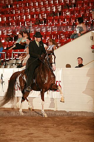 Proof 06buckeye_2576