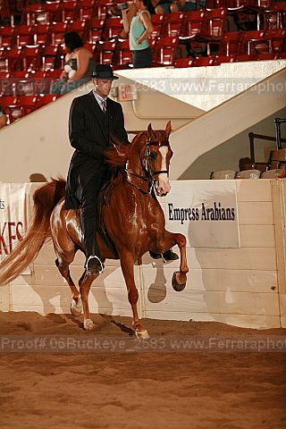 Proof 06buckeye_2583