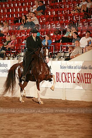 Proof 06buckeye_2586
