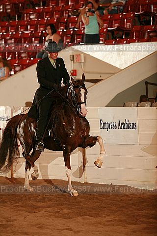 Proof 06buckeye_2587