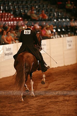 Proof 06buckeye_2589