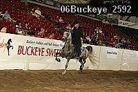 06buckeye_2592 proof