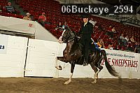 06buckeye_2594 proof