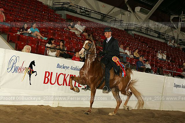 Proof 06buckeye_2595