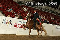 06buckeye_2595 proof