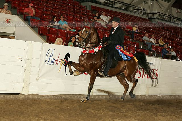 Proof 06buckeye_2596