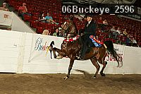 06buckeye_2596 proof
