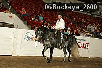 06buckeye_2600 proof