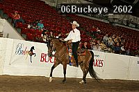 06buckeye_2602 proof