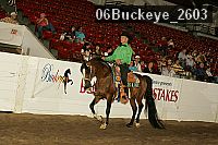 06buckeye_2603 proof