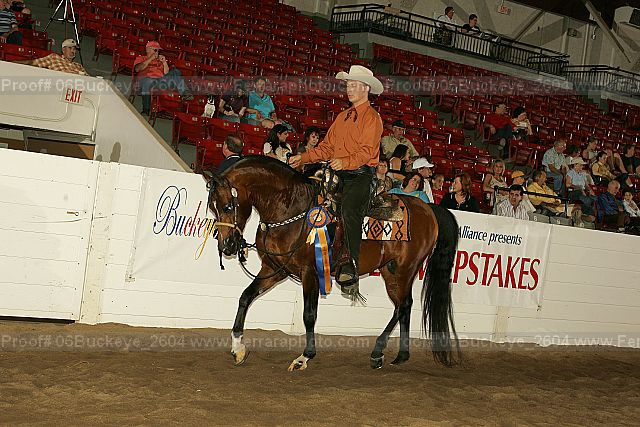 Proof 06buckeye_2604