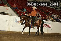 06buckeye_2604 proof