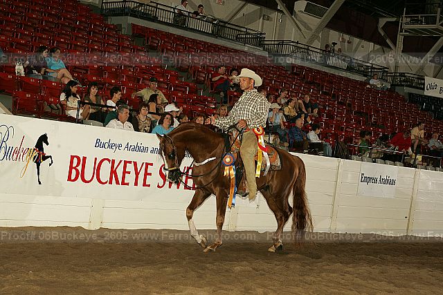 Proof 06buckeye_2605