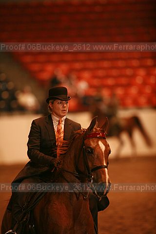 Proof 06buckeye_2612