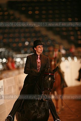 Proof 06buckeye_2613