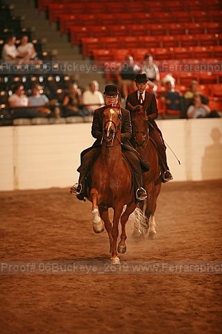 Proof 06buckeye_2619