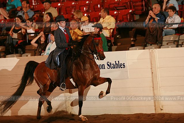 Proof 06buckeye_2624