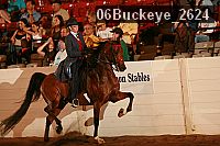 06buckeye_2624 proof