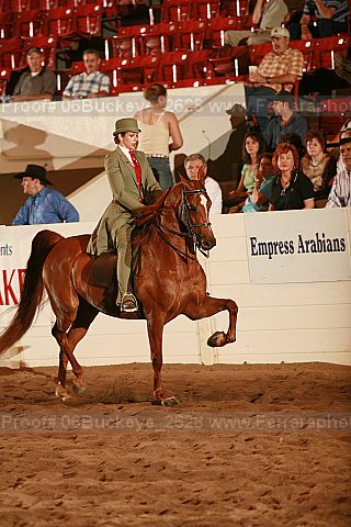 Proof 06buckeye_2628