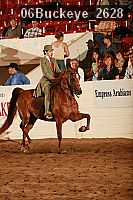 06buckeye_2628 proof