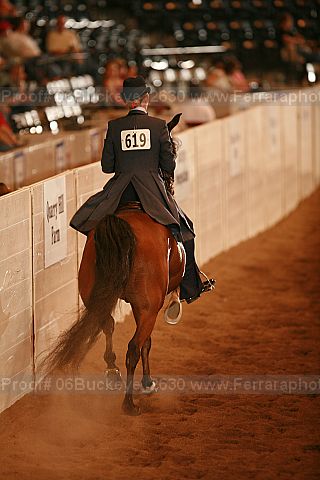Proof 06buckeye_2630