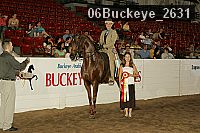 06buckeye_2631 proof