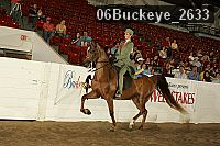 06buckeye_2633 proof