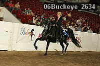 06buckeye_2634 proof