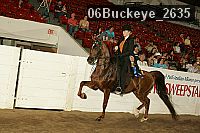 06buckeye_2635 proof
