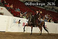 06buckeye_2636 proof