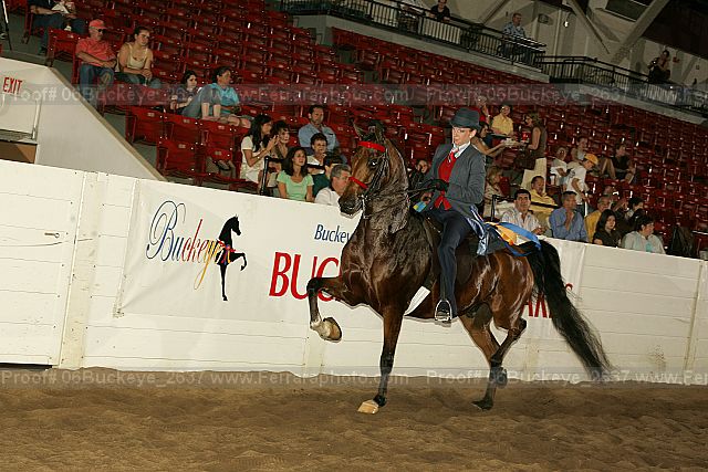 Proof 06buckeye_2637