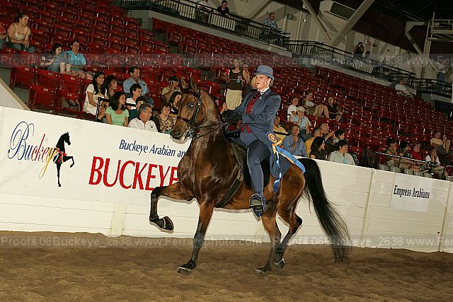 Proof 06buckeye_2638