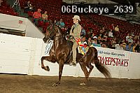 06buckeye_2639 proof