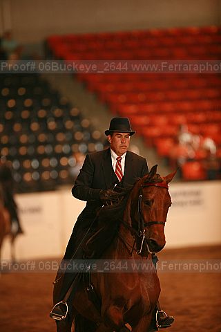 Proof 06buckeye_2644