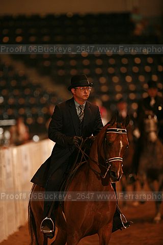 Proof 06buckeye_2647