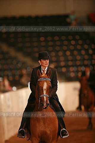 Proof 06buckeye_2652