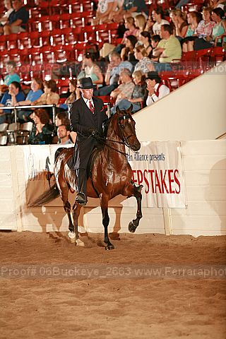 Proof 06buckeye_2663
